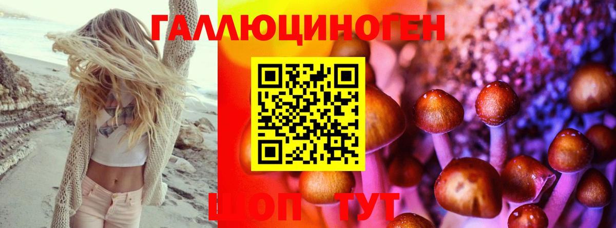 Галлюциногенные грибы Cubensis Реутов