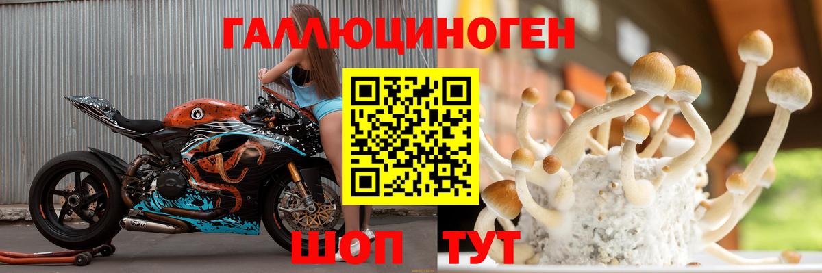 Псилоцибиновые грибы Cubensis  Вход с VPN  Галлюциногенные грибы мухоморы  Реутов 